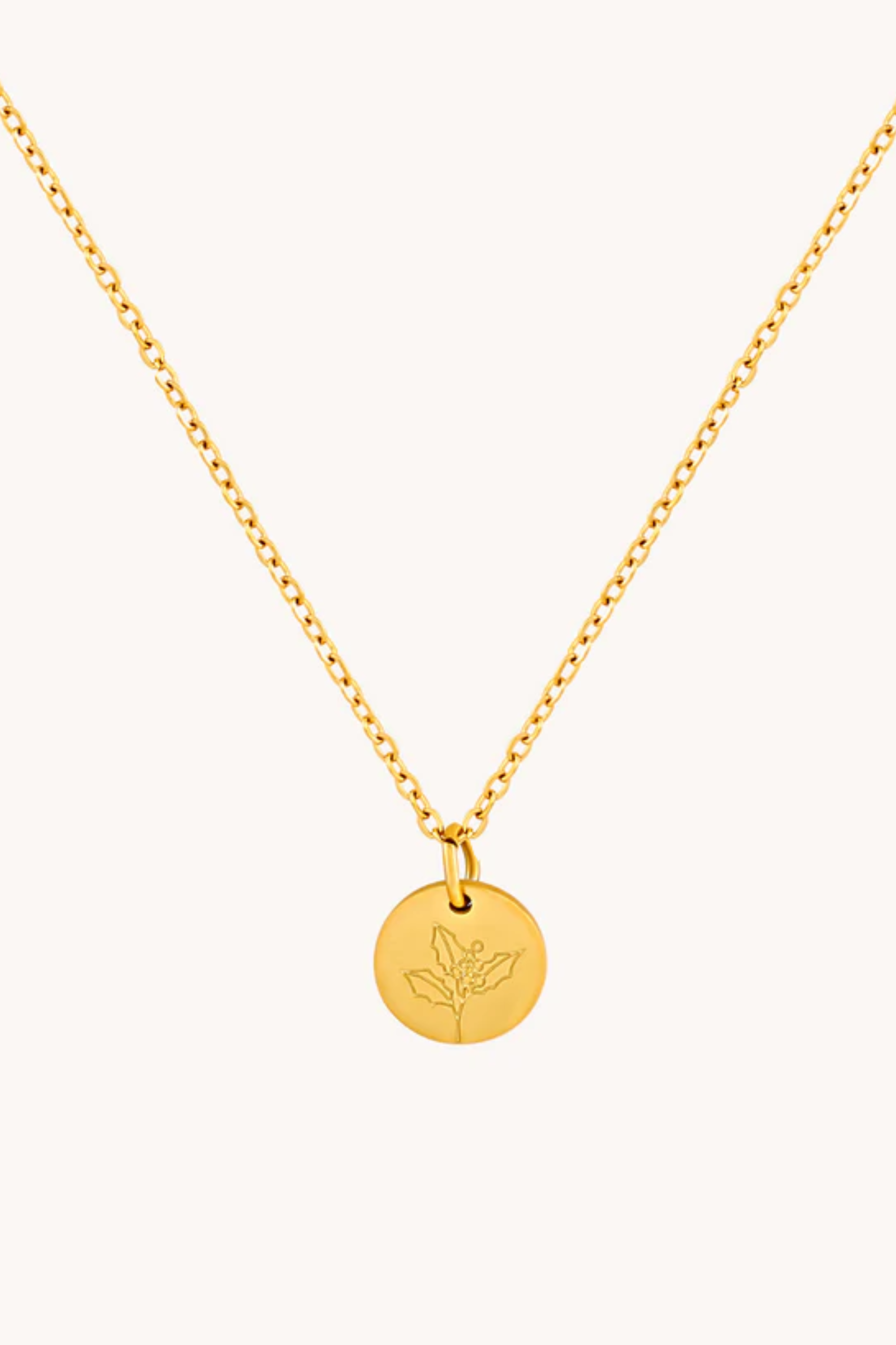December Holly Gold Birthflower Necklace