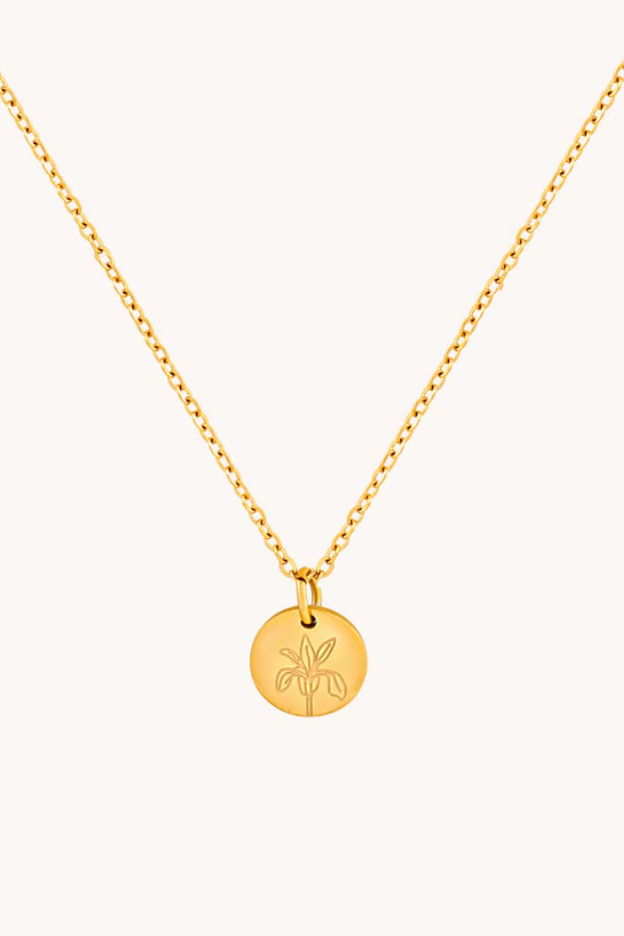 February Iris Gold Birthflower Necklace