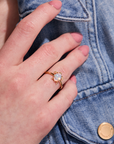 Turtle Gold Adjustable Ring