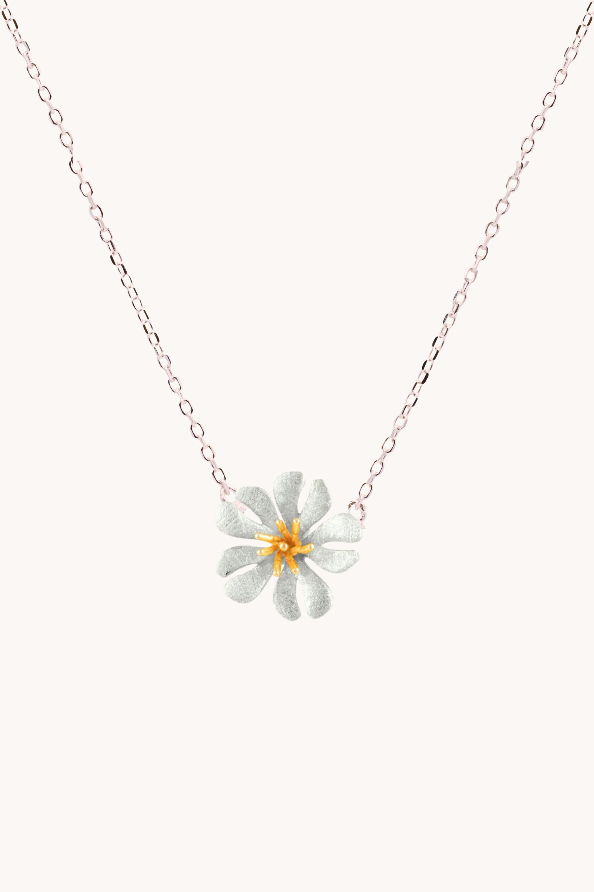 Parijatak silver necklace