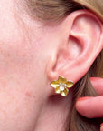Daffodil Gold Studs