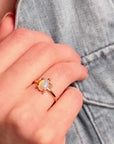 Turtle Gold Adjustable Ring