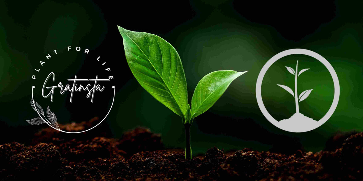 Plant a tree with every order!