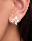 Daffodil Silver Studs