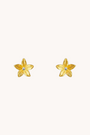 Summer Lily Gold Studs