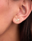 Viola Gold Studs