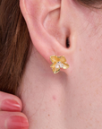 Daffodil Gold Studs