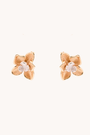 Daffodil Gold Studs