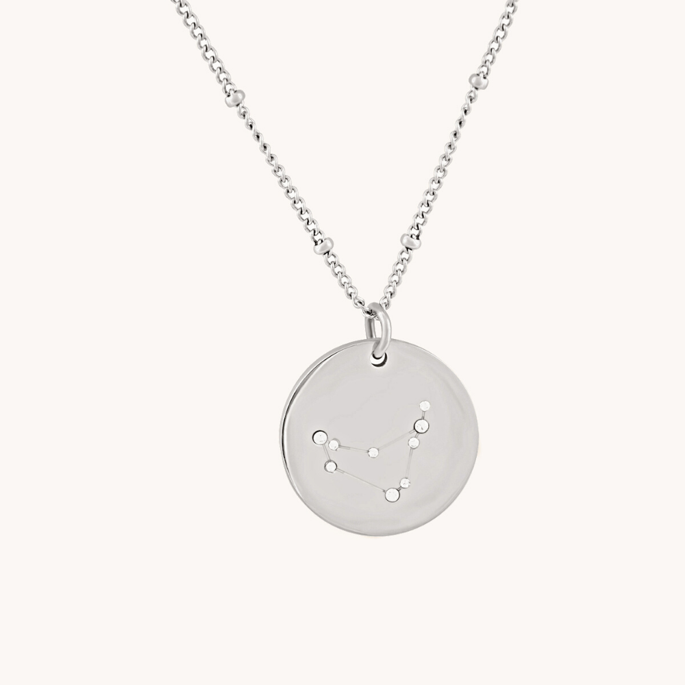 Capricorn Silver Zodiac Necklace